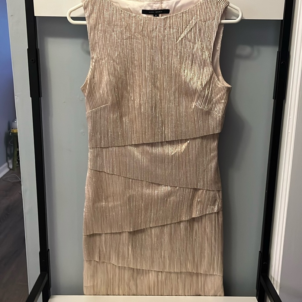 Gorgeous Women’s Dress